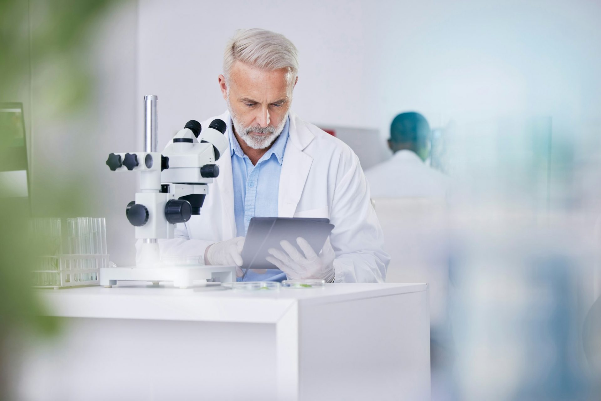 Biotech, laboratory and scientist with microscope, tablet and research with plants, botany or susta