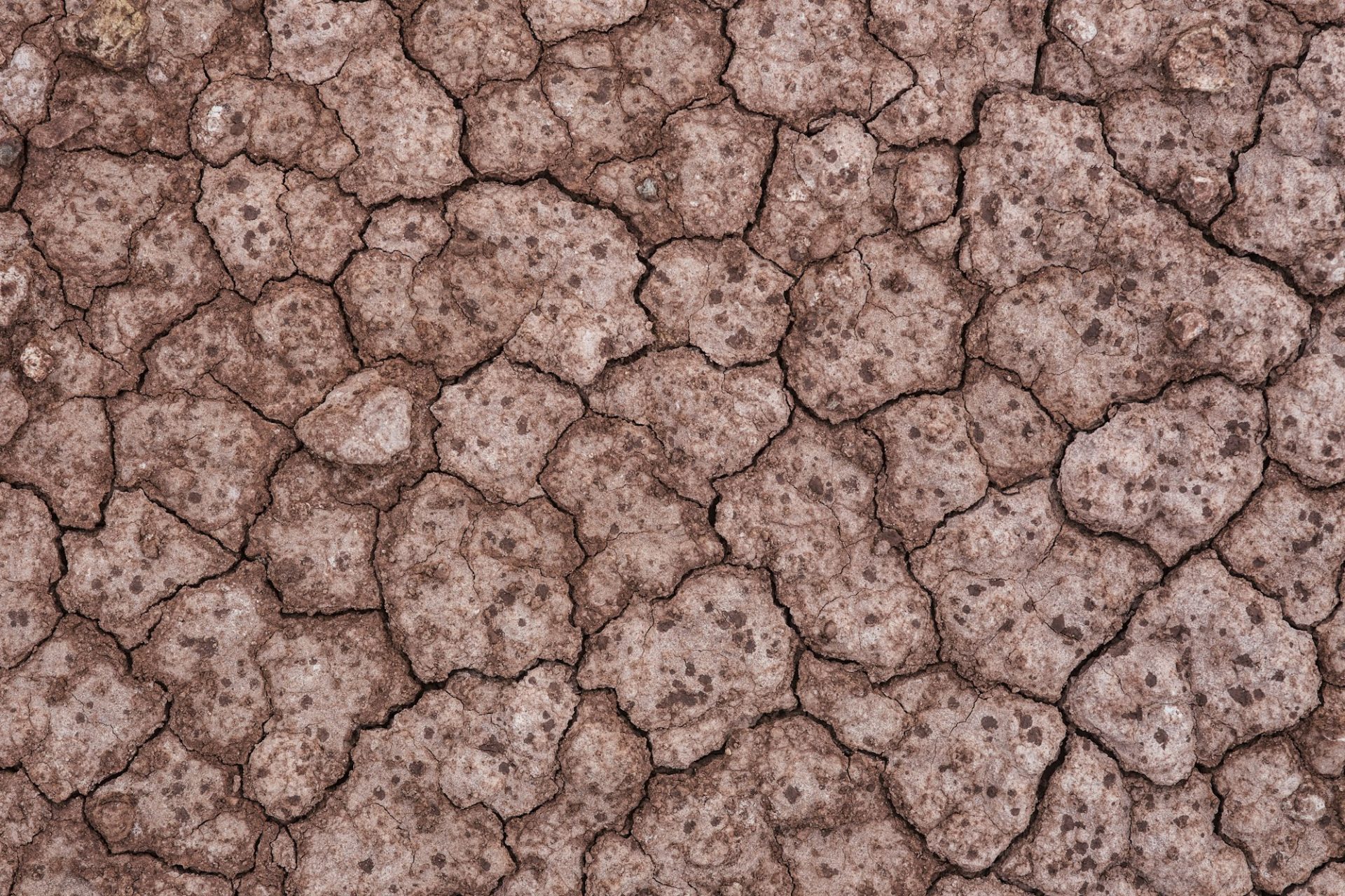 Cracked Ground, Earthquake Background, Texture